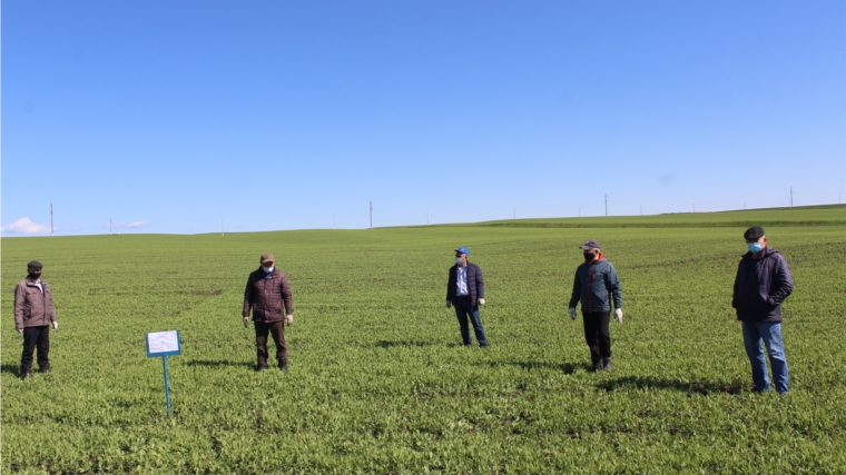 В СХПК «Комбайн» прошёл комиссионный смотр качества выполненных полевых работ по посеву сельскохозяйственных культур «Весна-2020»