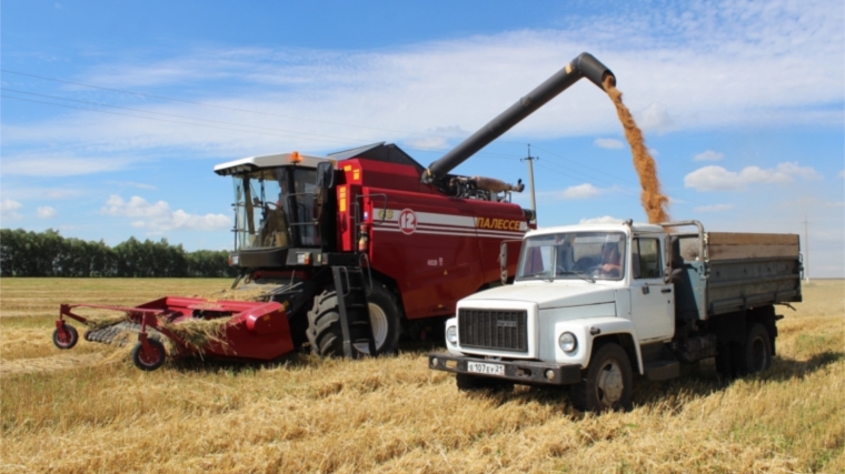 В СХПК "Комбайн" успешно завершили уборку зерновых и зернобобовых культур