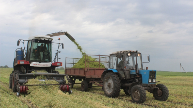 В СХПК «Комбайн» полным ходом идёт заготовка сенажа из однолетних трав